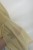 IMG_0557.jpeg